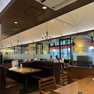 オリーブの木_2