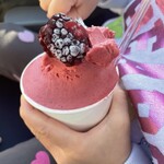 Hare Terrace Honten Karuizawa Psp Fodcort Ten