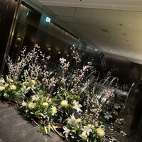 ゼックスウエスト サルヴァトーレ クオモブロス - 