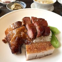 家寶 跳龍門 - 