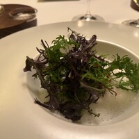 Plaiga TOKYO - 