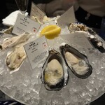 Daliguadalupe Terrace House - 