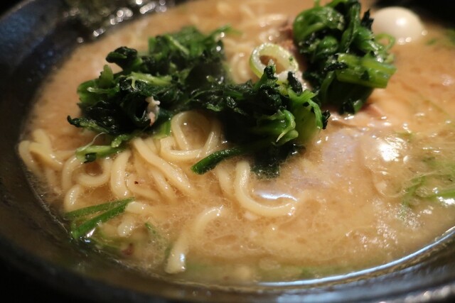 Ramen Senka Masagoro photo 4