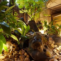 北新地しゃぶしゃぶすき焼き きらく -  北新地しゃぶしゃぶすき焼き きらく -