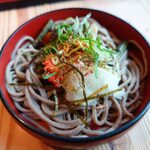 奥出雲そば処 一福 - おろしそばに薬味を乗せたところ