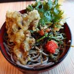 奥出雲そば処 一福 - 舞茸天そばに薬味を乗せてつゆを掛けたところ、天ぷら1枚は先にお塩で食べました。