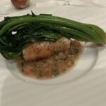 291786874 - ヤリイカ