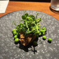 TACUBO - 