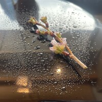 大志満 椿壽 丸ノ内店 - 