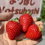 姫路ハートフル観光農園 - 