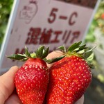 姫路ハートフル観光農園 - 