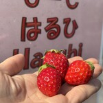 姫路ハートフル観光農園 - 