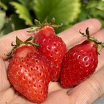 姫路ハートフル観光農園 - 