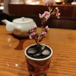 北新地 大嵓埜 - 