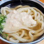 手打ちうどん ぶれーど・う - かけ小ｗｉｔｈガイジン