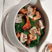 Benoit Alain Ducasse - 