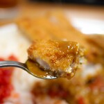 ジャンカレー - 