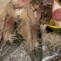 博多海鮮 和たつ美 博多本店 - 