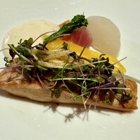 Benoit Alain Ducasse - 