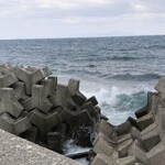 活魚料理 びんび家 - 