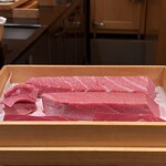 鮨 つぼみ - この日の鮪は、赤身中トロ大トロ共に勝浦からの同じ個体でした！