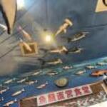 魚屋直営食堂　魚まる - 