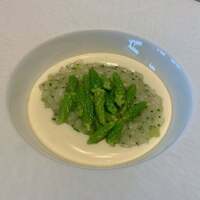 SEZANNE - 