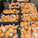 グリーンセンター 音羽 - 料理写真: