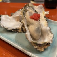 魚竹 - 