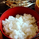 しんぱち食堂 - 白飯