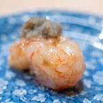 うを徳 - 2025.3 羽幌産ボタン海老