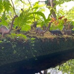 沖縄そば 森の家 - 