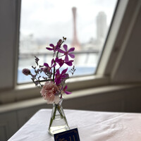 THE KOBECRUISE コンチェルト - 