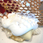 CYCLE by Mauro Colagreco - 花粉