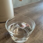 mignonette - サクラ発見