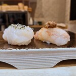 鮨 蓮心 - ホタテとエビ