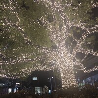 うなぎ家 しば福や - 