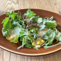 ウォルプタス 東京駅グランルーフ店 - 