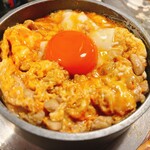 炭火と宮崎地鶏と釜飯 TORA鶏YA 北新地店 - 