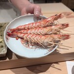 神田錦町 鮨たか晴 - 茹で立ての車海老