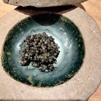 bb9 - 