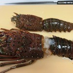 ■幻の伊勢海老…脱皮伊勢海老(ソフトシェル)