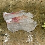 神田錦町 鮨たか晴 - ほうぼう