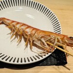 神田錦町 鮨たか晴 - 車海老（茹で上がり）