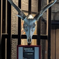 アカミヤコウシ - お出迎えしてくれます