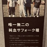 いただきます・翔 - 