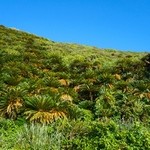 みなとや - 2014.7