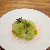 Selvaggio - 