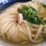 udon noodles 麺候 - 