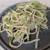 CINA New Modern Chinese - 